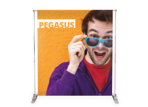 sejemska-stena-pegasus-drop.png