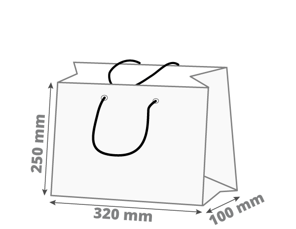Darilna vrečka - ležeča: 320x250x100 mm (D0)