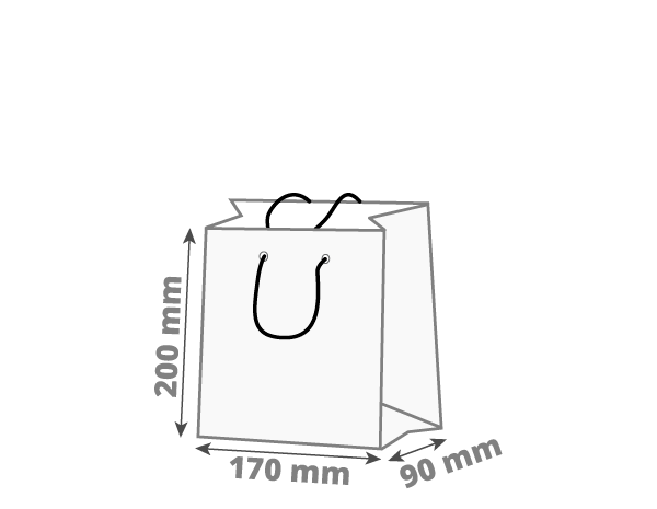 Darilna vrečka - pokončna: 170x90x200 mm (D1)