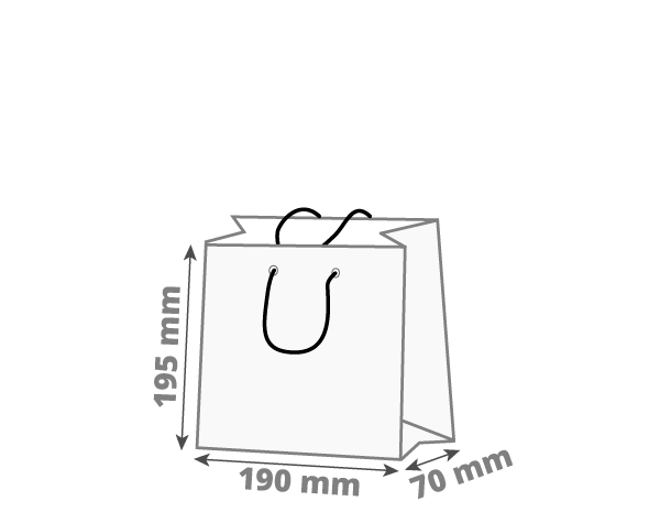 Darilna vrečka - pokončna: 190x70x195 mm (D1)
