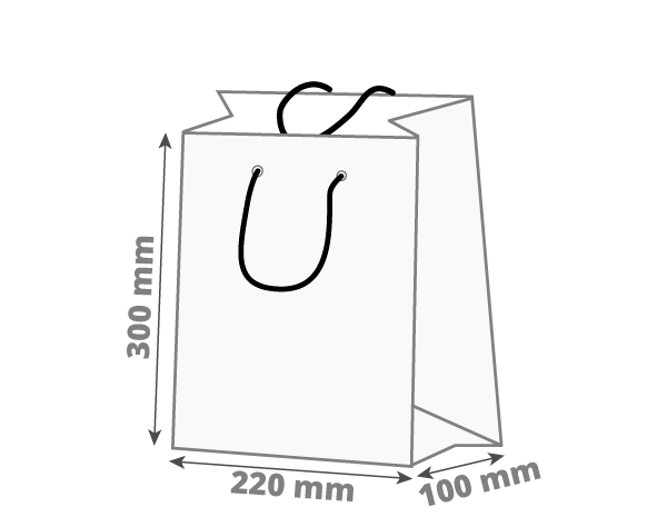 Darilna vrečka - pokončna: 220x100x300 mm (D1)