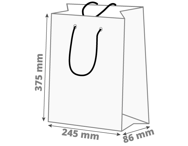 Darilna vrečka - pokončna: 245x86x375 mm (D1X)