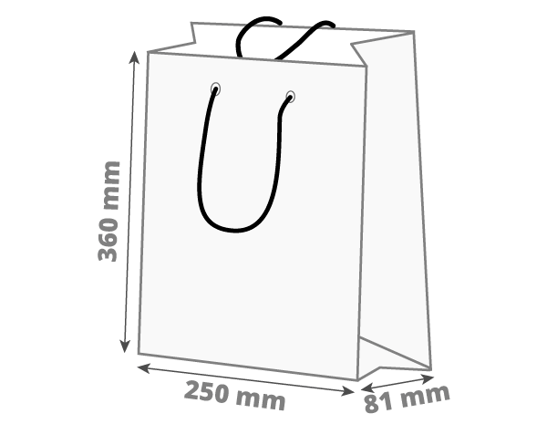 Darilna vrečka - pokončna: 250x81x360 mm (D1X)