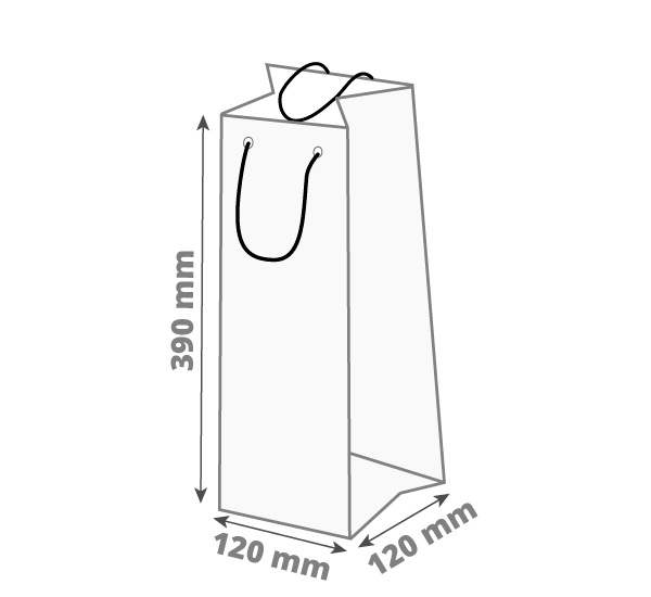 Darilna vrečka za steklenico: 120x120x390 mm (D1X)