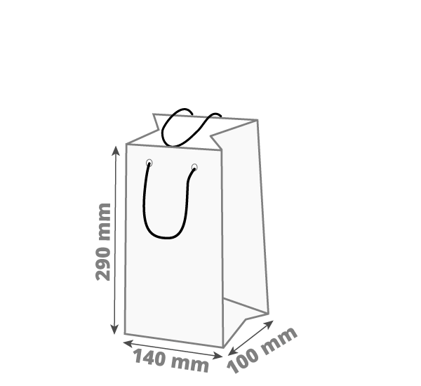 Darilna vrečka za steklenico: 140x100x290 mm (D1)